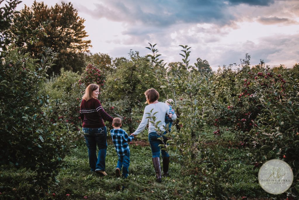 Family Photography at Robbs Apple Tree Farm Brockport, NY