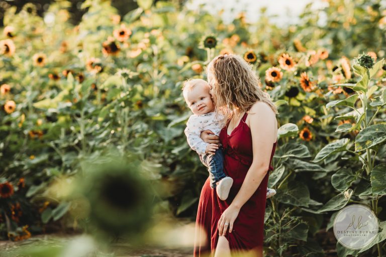 Stokoe, Farms, Sunflowers, Scottsville, NY, Photography