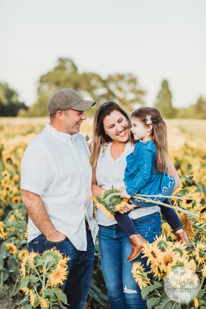 Stokoe, Farms, Sunflowers, Scottsville, NY, Photography