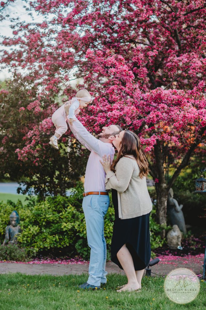 Family, Session, Photography, Pose, Pink, Trees, Crab apple