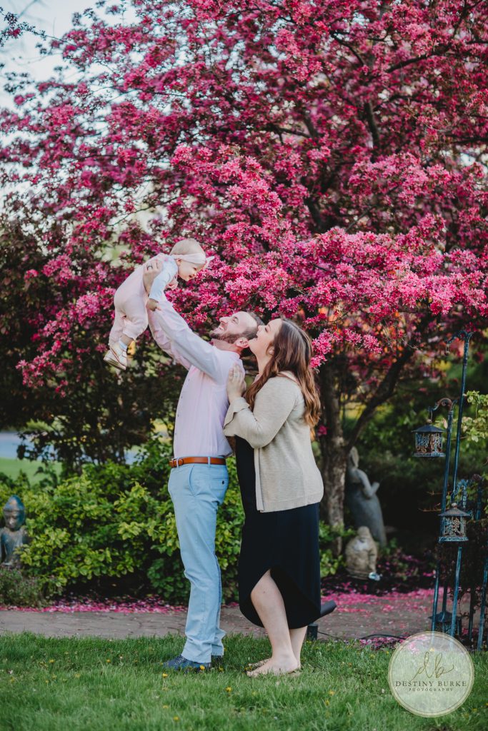 Family, Session, Photography, Pose, Pink, Trees, Crab apple