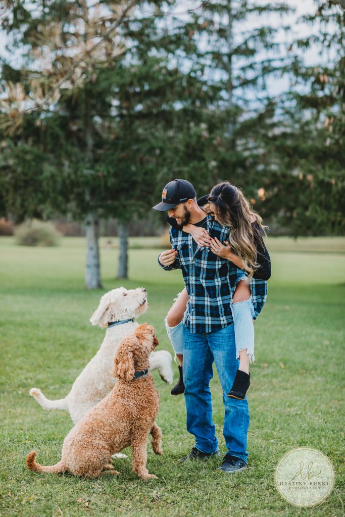 goldendoodles, photoshoot, dogs, puppies, couple, Black Creek Park, Destiny Burke Photography, Black Creek Park, North Chili, Rochester, NY, upstate,