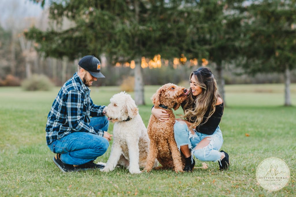 goldendoodles, photoshoot, dogs, puppies, couple, Black Creek Park, Destiny Burke Photography, Black Creek Park, North Chili, Rochester, NY, upstate,