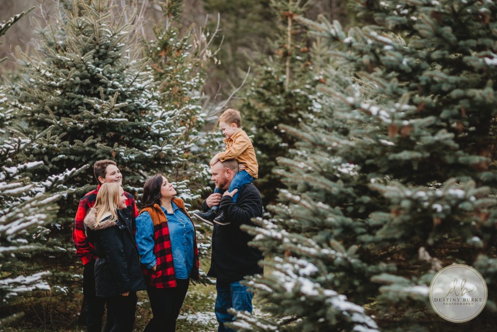 Christmas, Tree, Farm, Mini, Session, Photography, McPherson Orchards, LeRoy, NY, Destiny Burke Photography, Rochester, photographer, posing, family, trees, christmas,