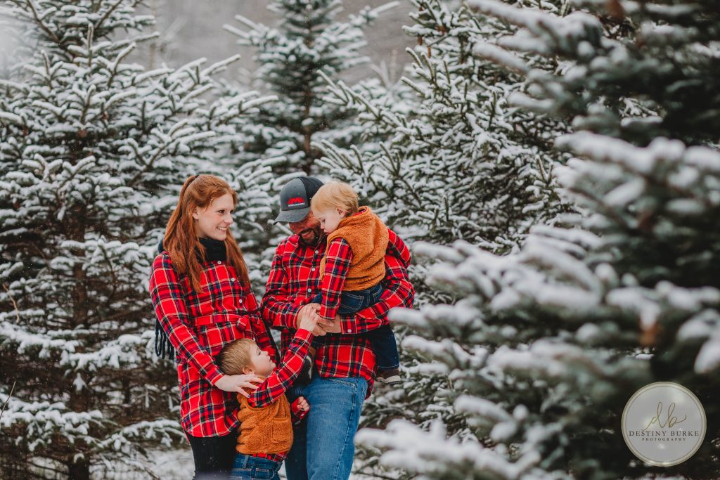 Christmas, Tree, farm, McPherson Orchards, LeRoy, NY, Snow, Family, Posing, Rochester, NY, Photography, Photography, Mini Session, tree farm