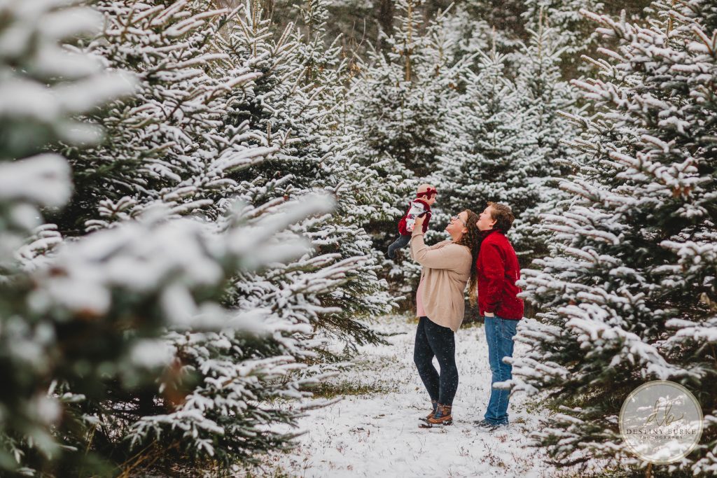 Christmas, Tree, farm, McPherson Orchards, LeRoy, NY, Snow, Family, Posing, Rochester, NY, Photography, Photography, Mini Session, tree farm