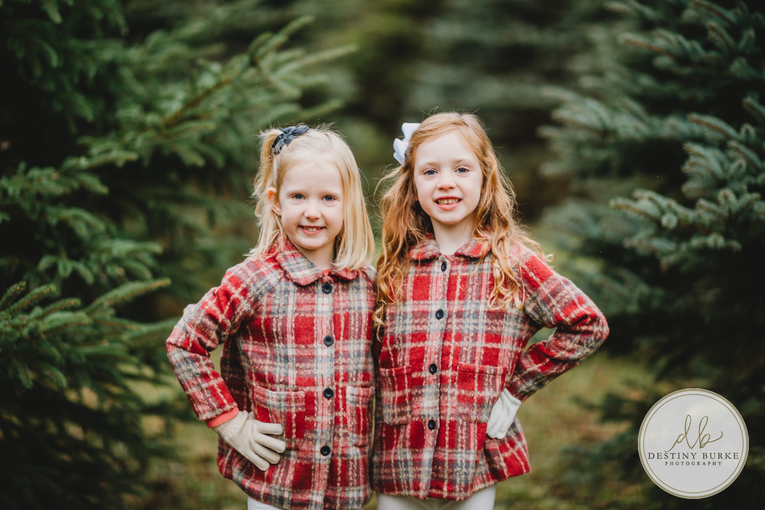 Christmas, Mini, Sessions, McPherson Orchards, LeRoy, NY, photography, photographer, Destiny Burke Photography