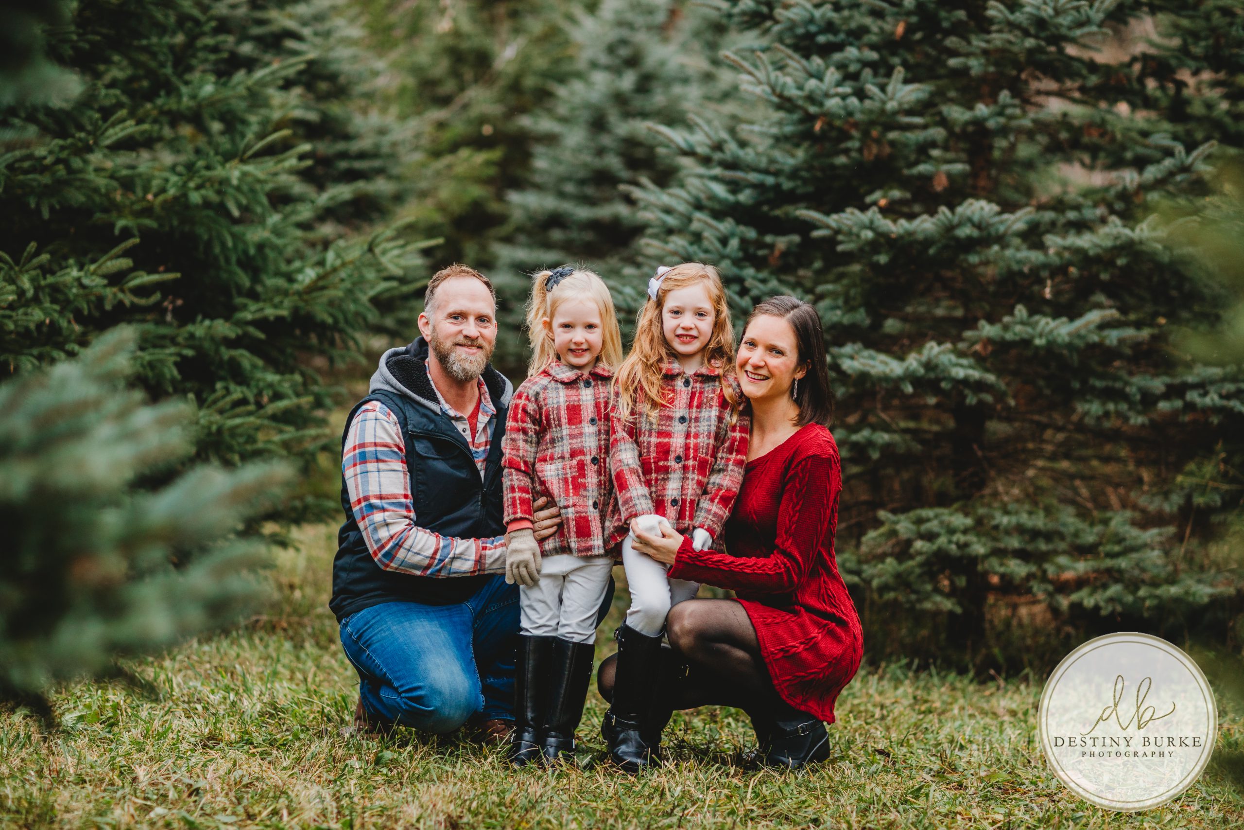 Christmas, Mini, Sessions, McPherson Orchards, LeRoy, NY, photography, photographer, Destiny Burke Photography