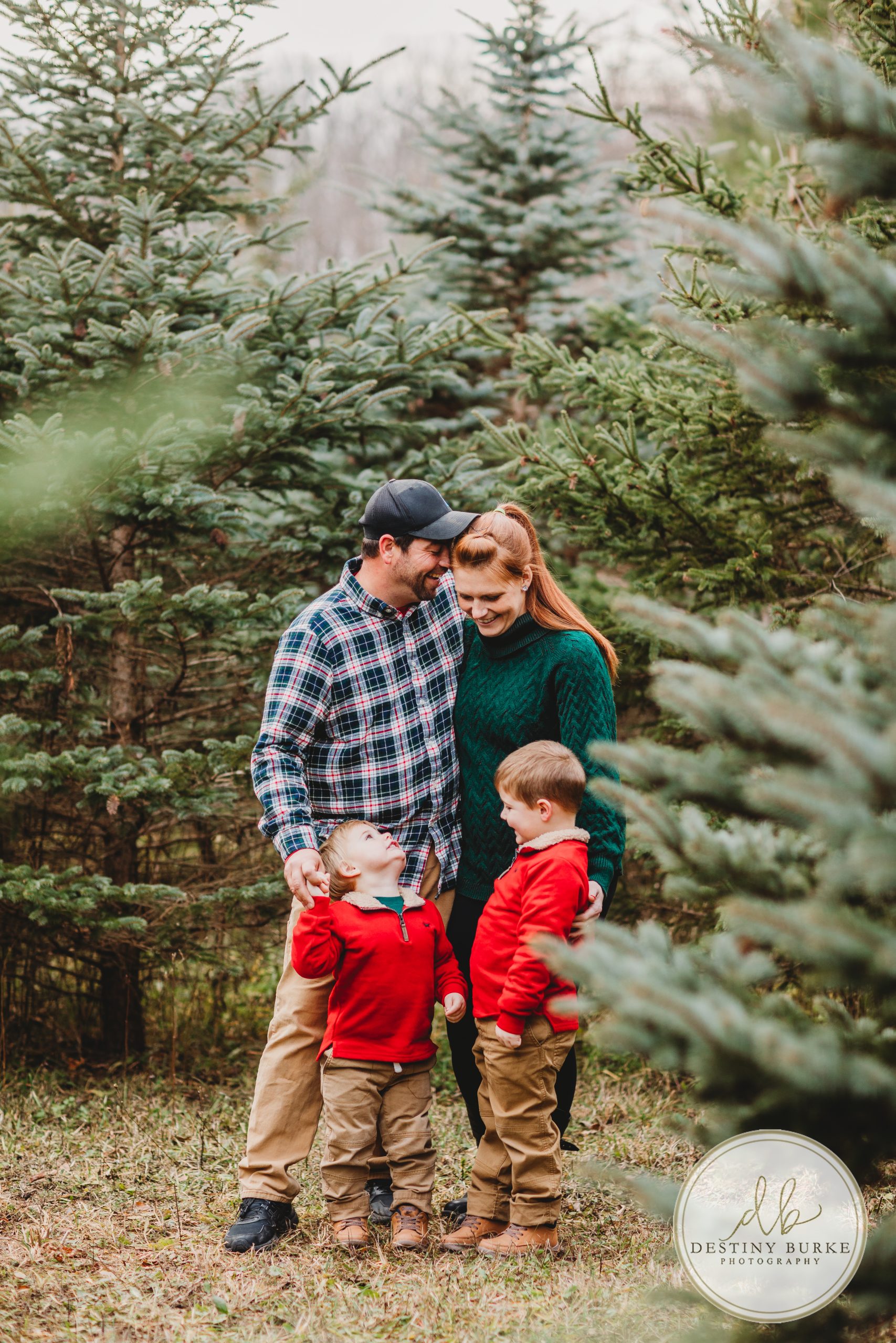 Christmas, Mini, Sessions, McPherson Orchards, LeRoy, NY, photography, photographer, Destiny Burke Photography, family