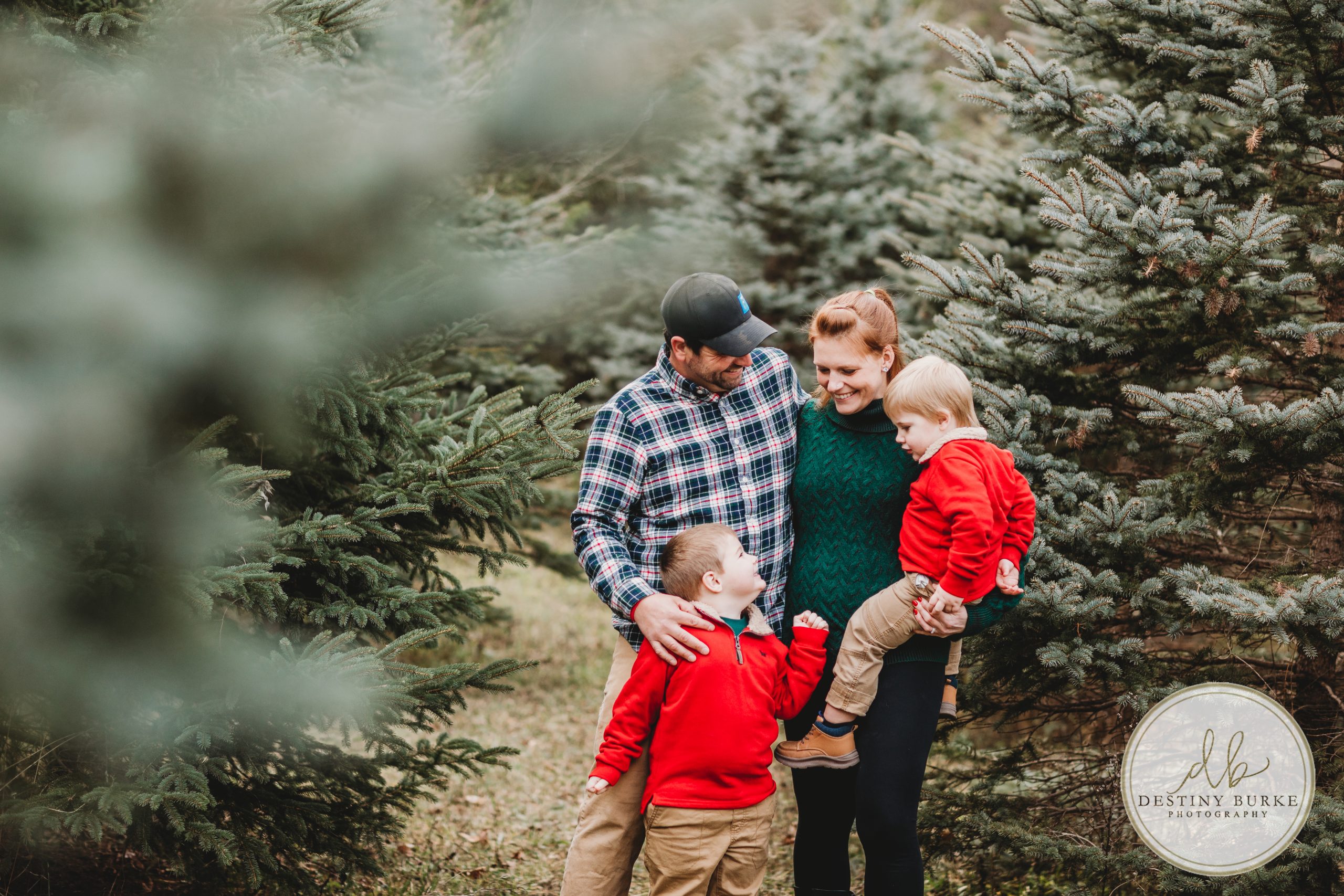 Christmas, Mini, Sessions, McPherson Orchards, LeRoy, NY, photography, photographer, Destiny Burke Photography, family