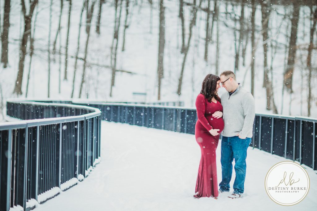 Durand Eastman Park, Rochester, NY, Maternity, Session, Photography, photographer, Snow, Lake Ontario, winter, snowfall, gown, dress, posing, poses