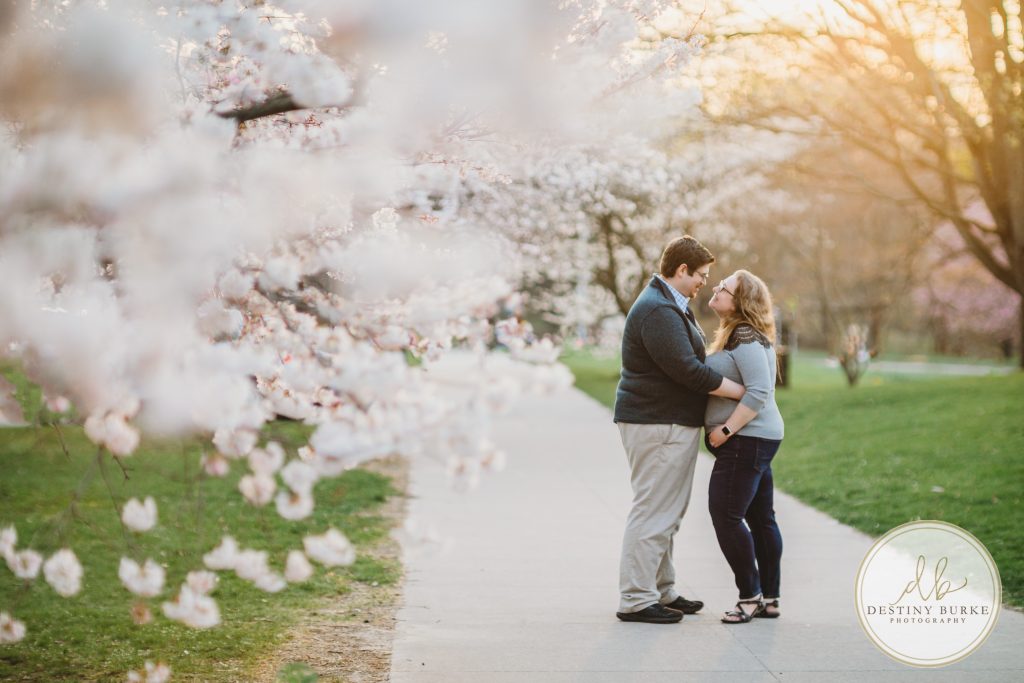 Family, posing, cherry blossom, mini, session, Destiny Burke Photography, photography, photographer, Highland Park, Rochester, NY, New York