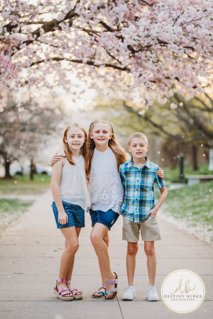 Family, posing, cherry blossom, mini, session, Destiny Burke Photography, photography, photographer, Highland Park, Rochester, NY, New York
