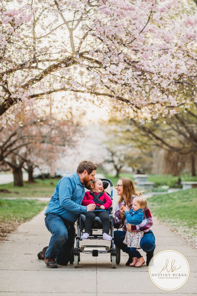 Family, posing, cherry blossom, mini, session, Destiny Burke Photography, photography, photographer, Highland Park, Rochester, NY, New York
