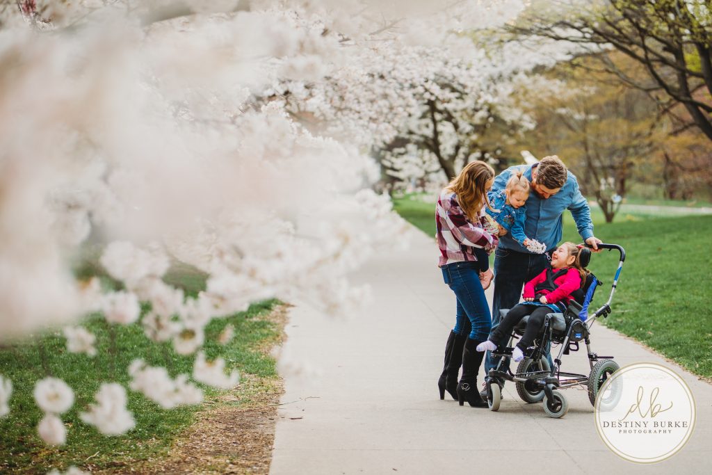 Family, posing, cherry blossom, mini, session, Destiny Burke Photography, photography, photographer, Highland Park, Rochester, NY, New York