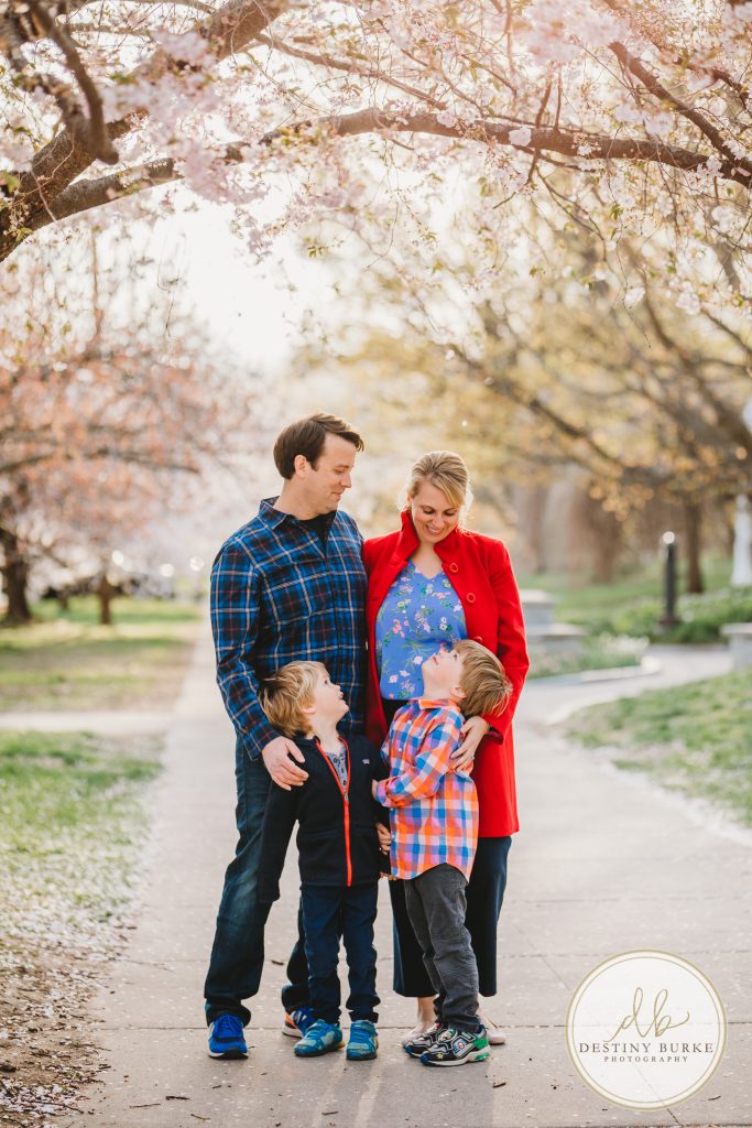 Family, posing, cherry blossom, mini, session, Destiny Burke Photography, photography, photographer, Highland Park, Rochester, NY, New York