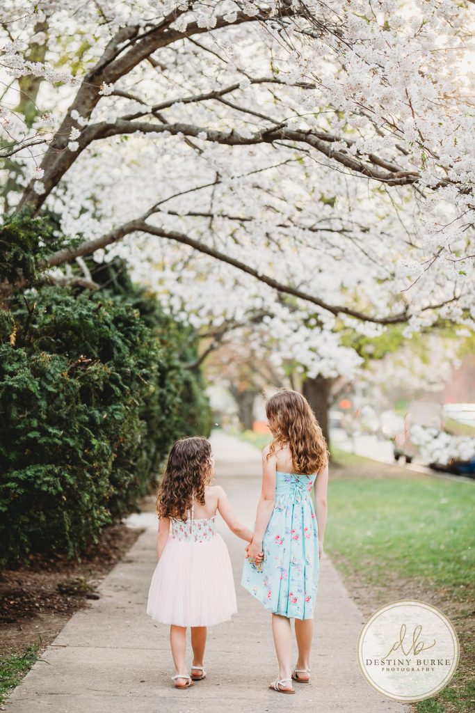 Family, posing, cherry blossom, mini, session, Destiny Burke Photography, photography, photographer, Highland Park, Rochester, NY, New York