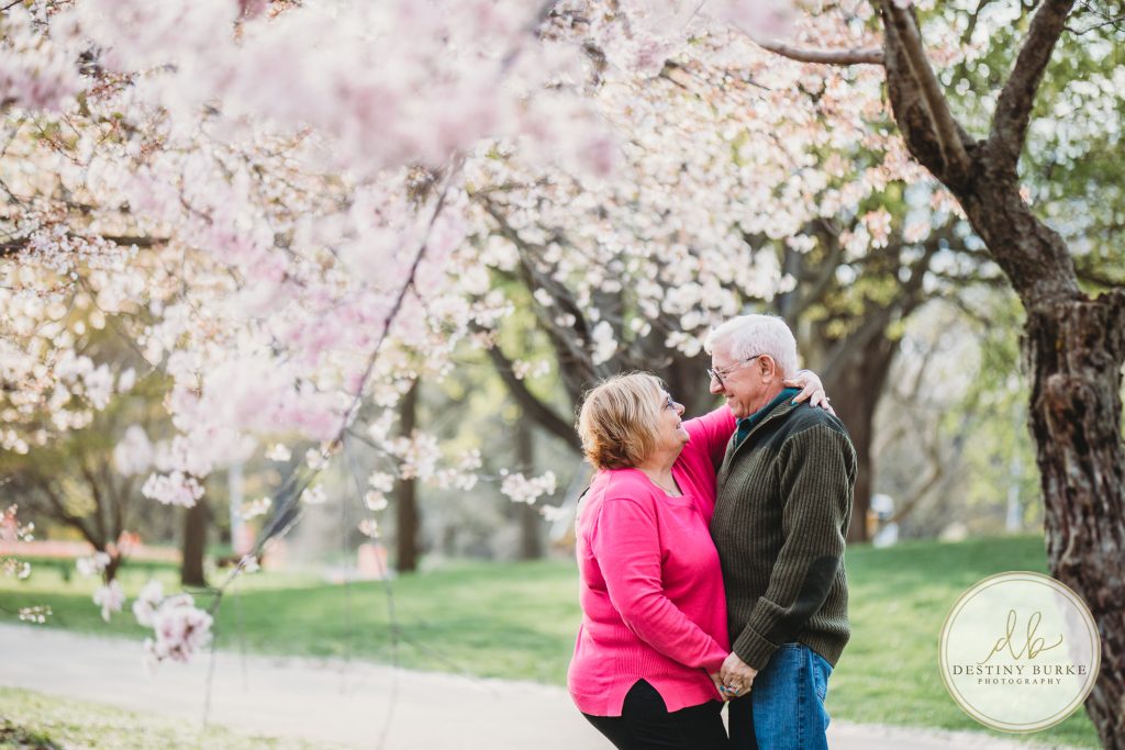 Family, posing, cherry blossom, mini, session, Destiny Burke Photography, photography, photographer, Highland Park, Rochester, NY, New York