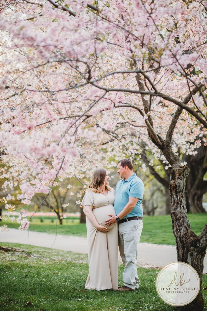 Maternity, Session, Highland Park, Rochester, upstate, New York, NY, photography, photographer, Cherry Blossom, Mini session