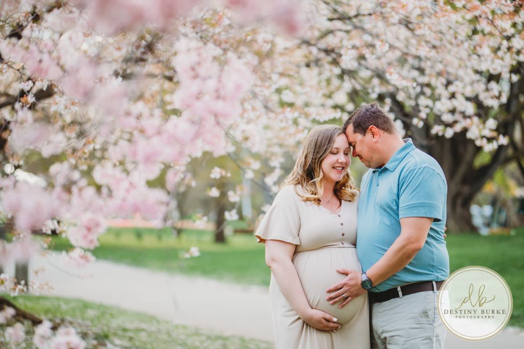 Maternity, Session, Highland Park, Rochester, upstate, New York, NY, photography, photographer, Cherry Blossom, Mini session
