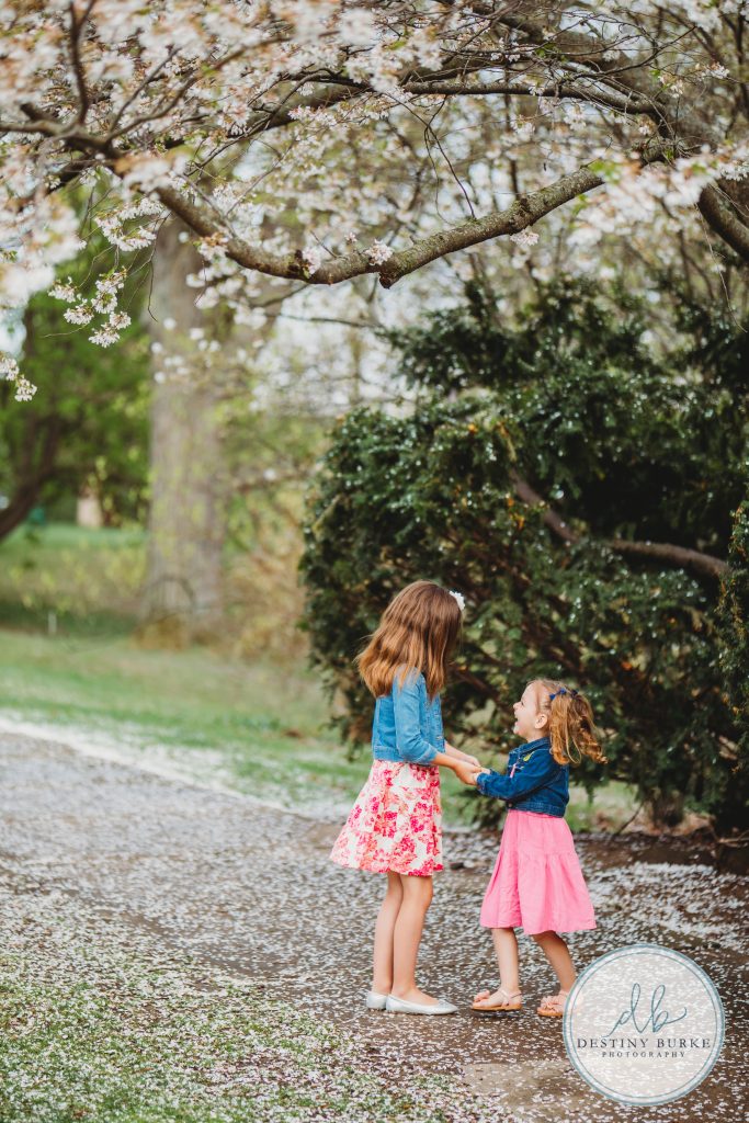 Family, posing, cherry blossom, mini, session, Destiny Burke Photography, photography, photographer, Highland Park, Rochester, NY, New York