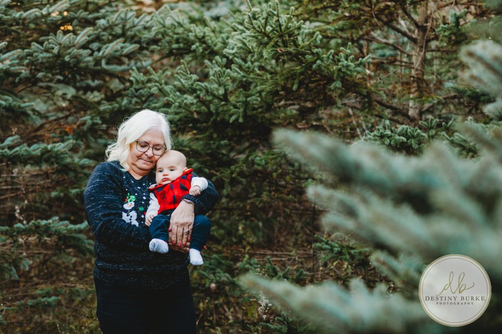 Christmas Mini Photo Sessions near Rochester, NY at McPherson Orchards, Family Photographer