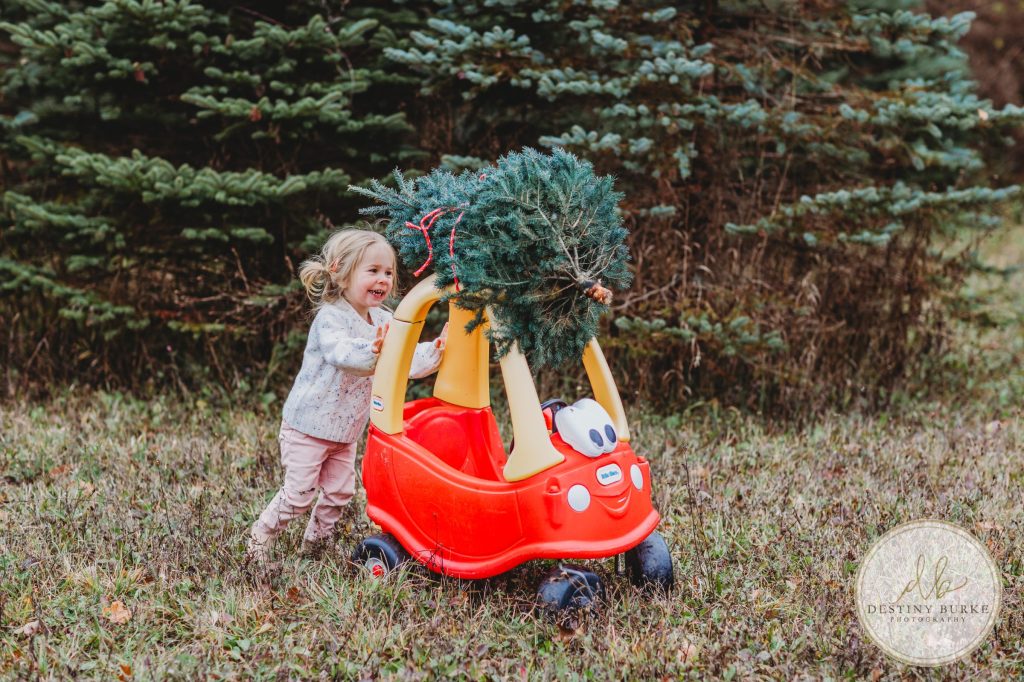 Christmas Mini Photo Sessions near Rochester, NY at McPherson Orchards, Family Photographer
