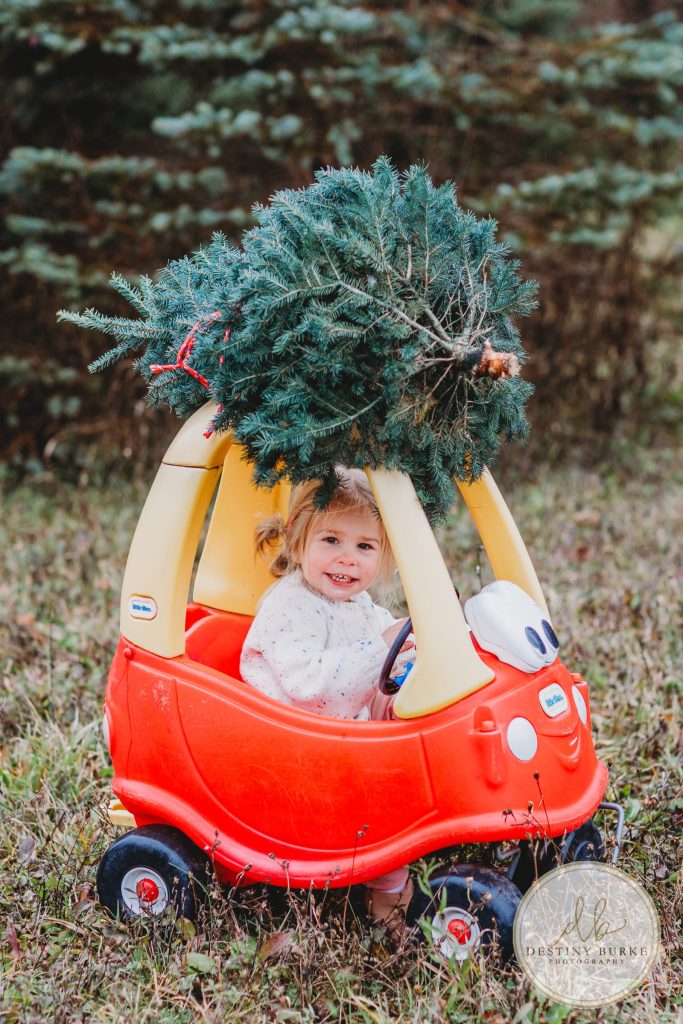 Christmas Mini Photo Sessions near Rochester, NY at McPherson Orchards, Family Photographer