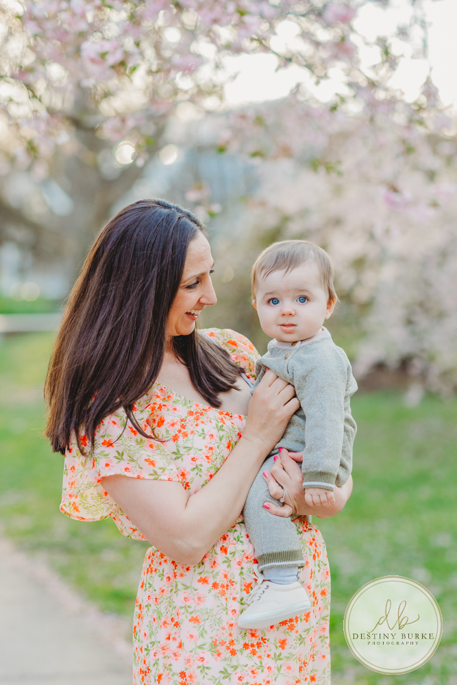 best family photographer near Rochester, NY, at Highland Park, family of 4 under the Cherry Blossom trees, photographed by Caledonia photographer, Destiny Burke Photography at sunset. 6 Month old and 3 year old children with Mom and Dad.