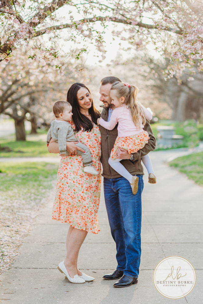 best family photographer near Rochester, NY, at Highland Park, family of 4 under the Cherry Blossom trees, photographed by Caledonia photographer, Destiny Burke Photography at sunset.