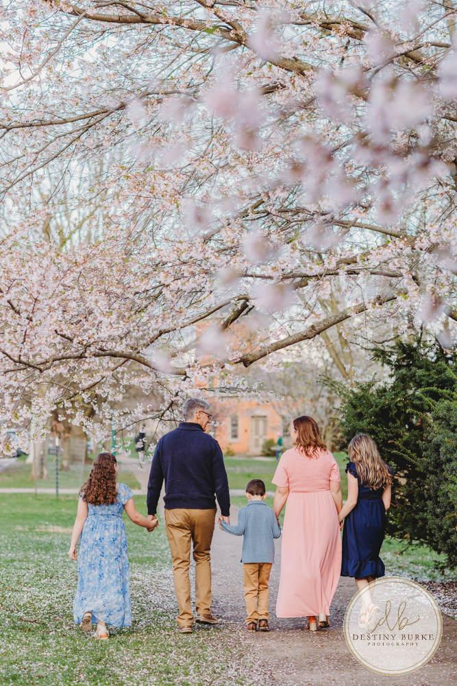 best family photographer near Rochester, NY, at Highland Park, family of 5 under the Cherry Blossom trees, photographed by Destiny Burke Photography at sunset.