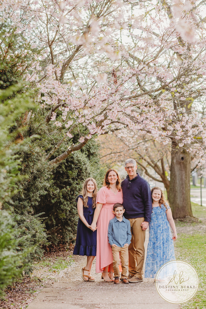 best family photographer near Rochester, NY, at Highland Park, family of 5 under the Cherry Blossom trees, photographed by Destiny Burke Photography at sunset.