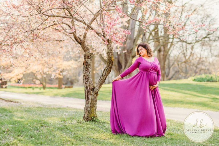 best family and maternity photographer near Rochester, NY, at Highland Park, Under the Cherry Blossom trees, photographed by Caledonia portrait photographer, Destiny Burke Photography at sunset. Pregnancy photo shoot.